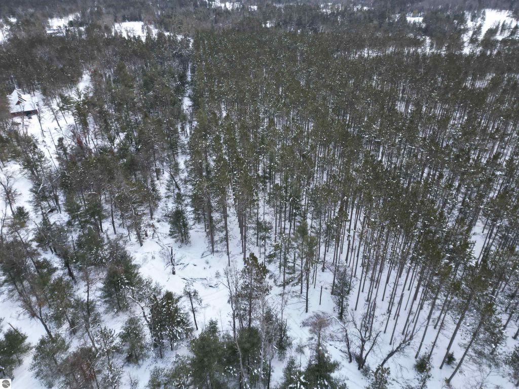 Image 35 of property listing at VL Longfield Drive, Lewiston, MI 49756