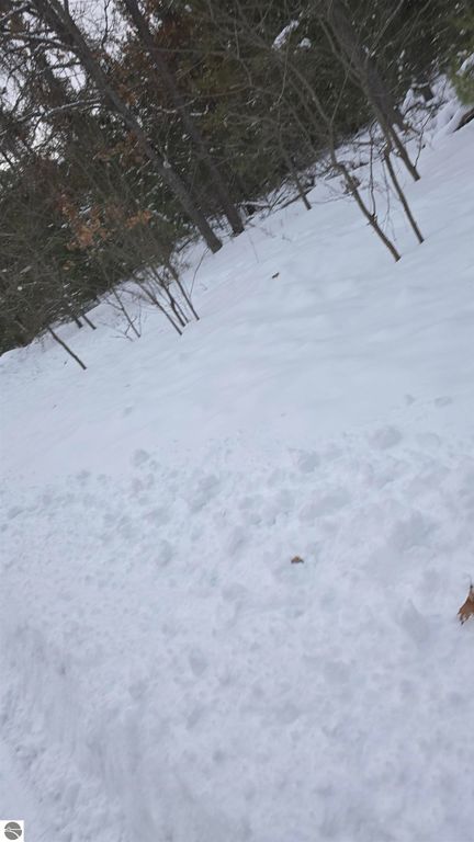 Image 5 of property listing at VL Longfield Drive, Lewiston, MI 49756