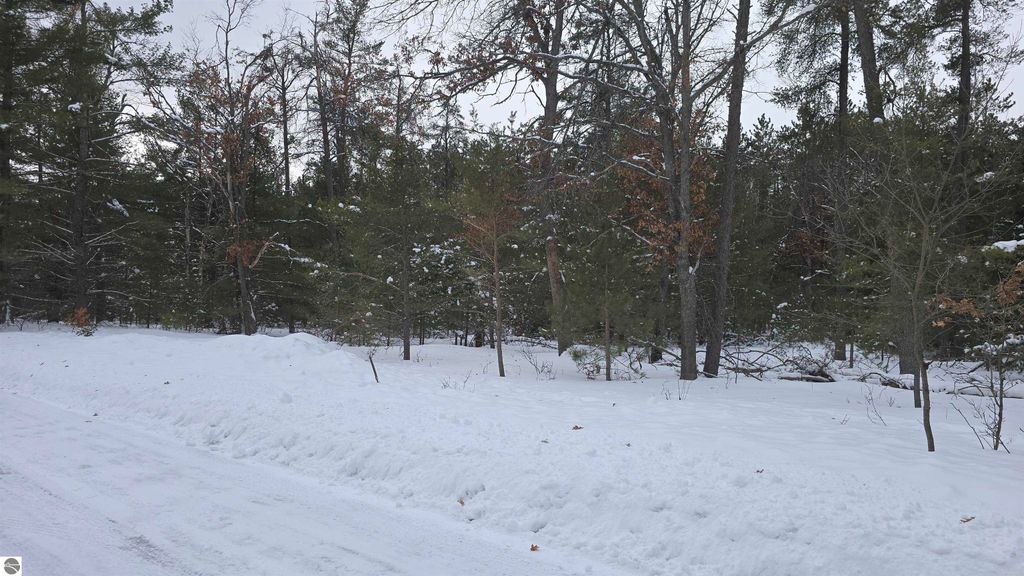 Image 6 of property listing at VL Longfield Drive, Lewiston, MI 49756