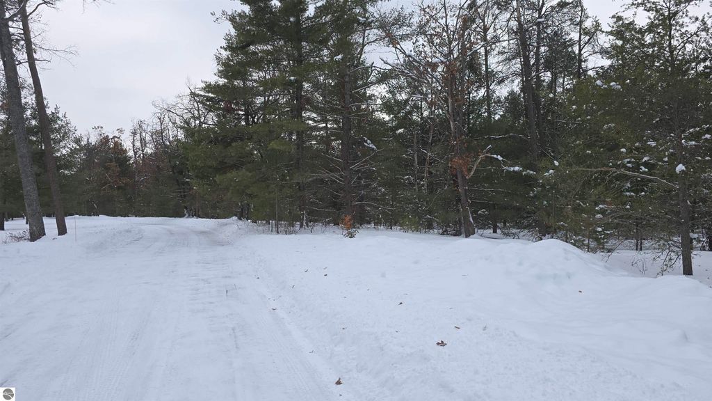 Image 7 of property listing at VL Longfield Drive, Lewiston, MI 49756