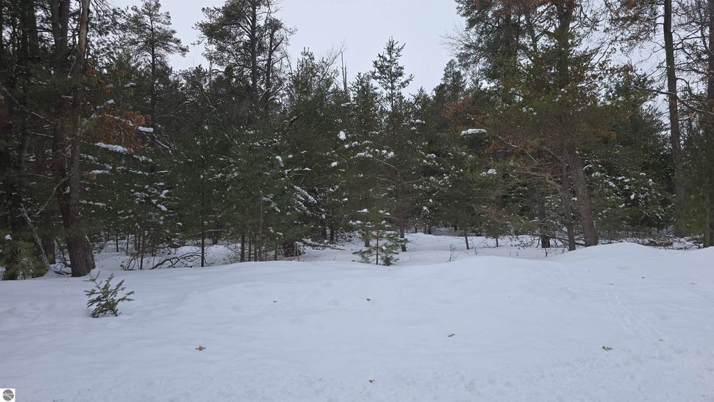 Image 8 of property listing at VL Longfield Drive, Lewiston, MI 49756