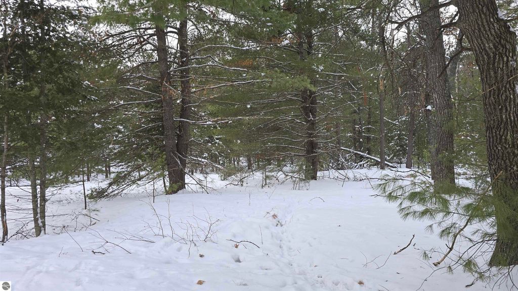 Image 9 of property listing at VL Longfield Drive, Lewiston, MI 49756