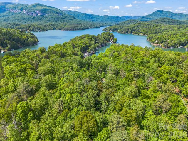139 Picnic Point Road, Lake Lure, NC 28746