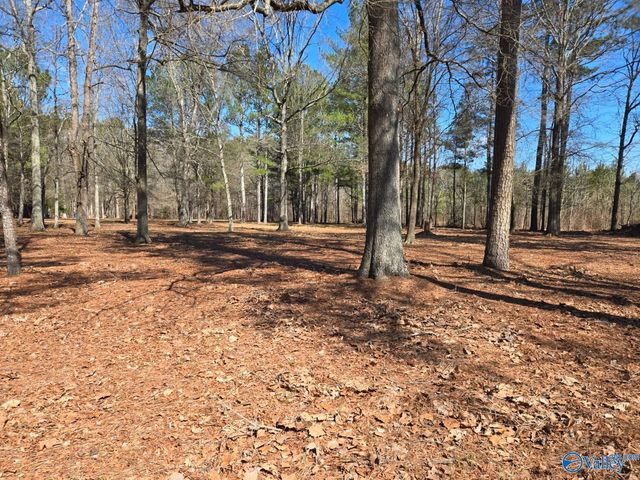 196 West Street, New Hope, AL 35760