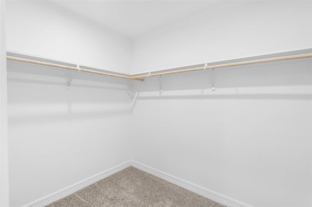 813 Barbara Mae Street, Houston, TX 77015