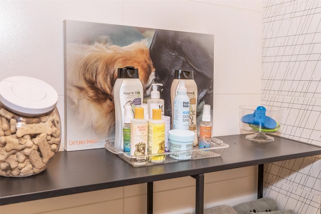 7450 Coronado Avenue 707, Dallas, TX 75214