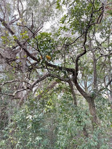 21249 DURDEN ROAD, Dade City, FL 33523