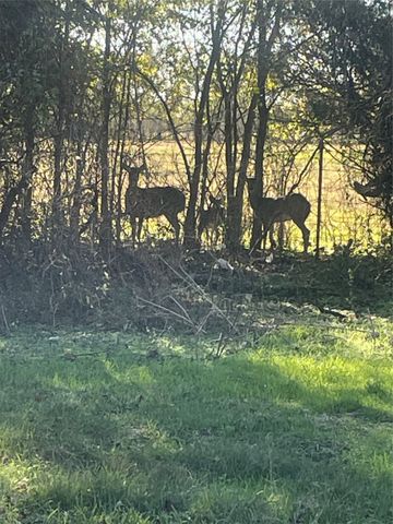 3373 CR 0160 Road, Powell, TX 75153