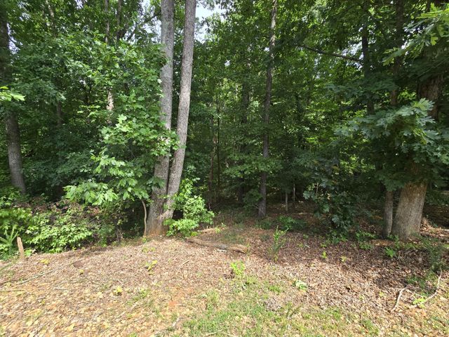 1195 Boulder Pass Rd, Clarksville, TN 37040