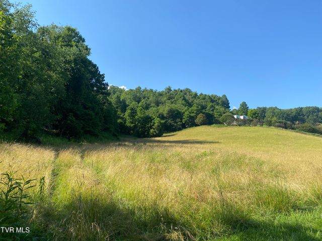 0 Rich Valley (9.23 Ac) Road, Abingdon, VA 24210