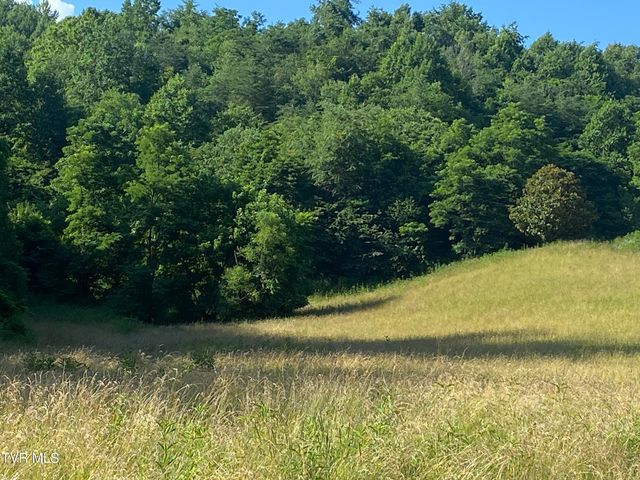 0 Rich Valley (9.23 Ac) Road, Abingdon, VA 24210
