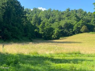 0 Rich Valley (9.23 Ac) Road, Abingdon, VA 24210