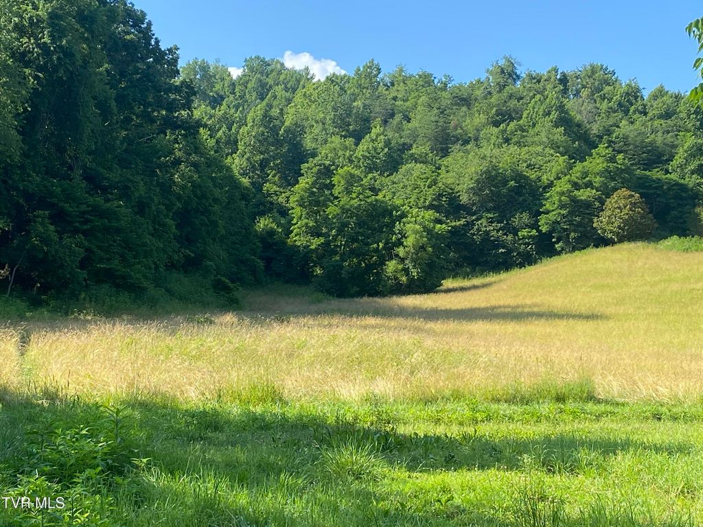 0 Rich Valley (9.23 Ac) Road, Abingdon, VA 24210