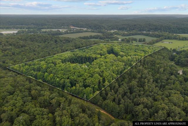 260 Perkins Ln, Waverly, TN 37185