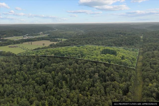 260 Perkins Ln, Waverly, TN 37185