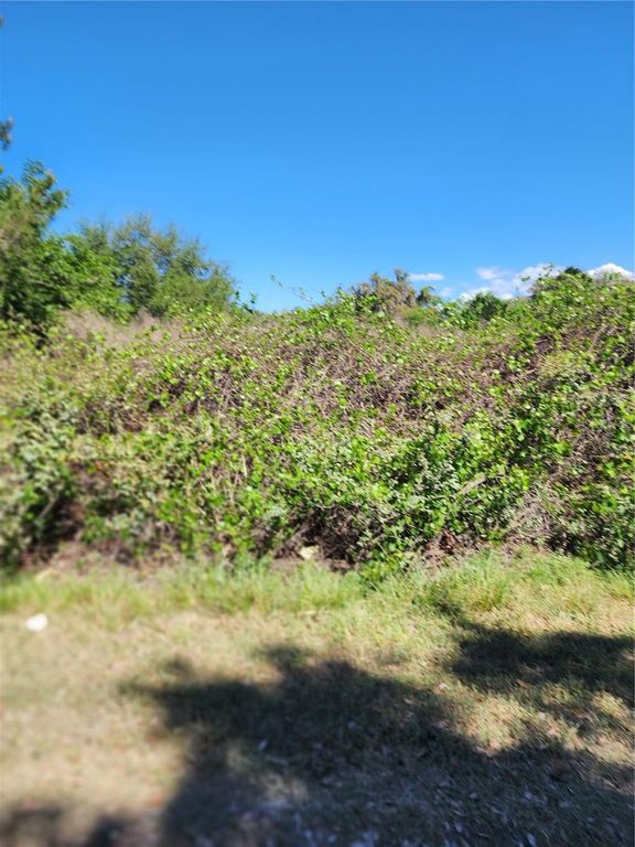 Image 2 of property listing at 16415 SE 210TH TERRACE, Hawthorne, FL 32640