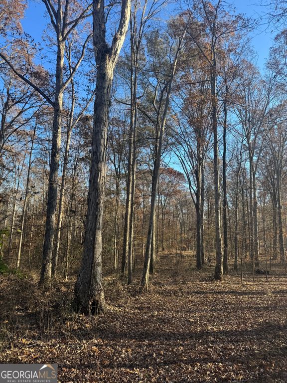 2671 Oakley Trail, Statham, GA 30666 — photo 4
