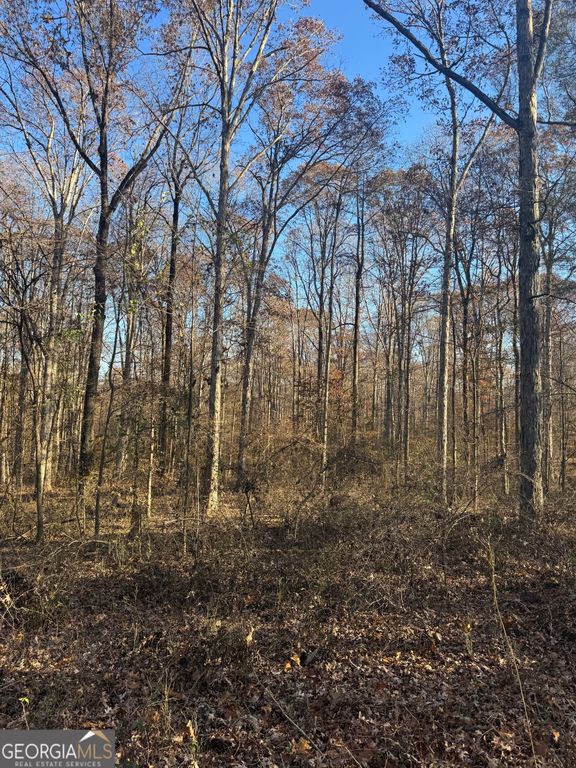 2671 Oakley Trail, Statham, GA 30666 — photo 5