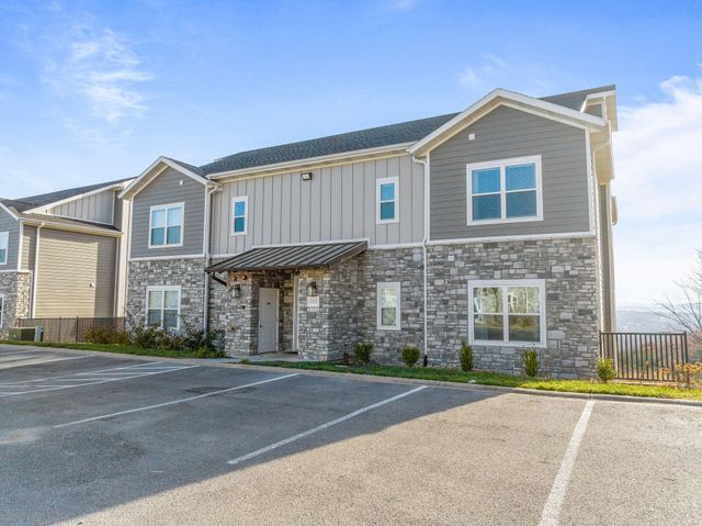 3111 S Vineyards Terrace Unit 6, Branson, MO 65616