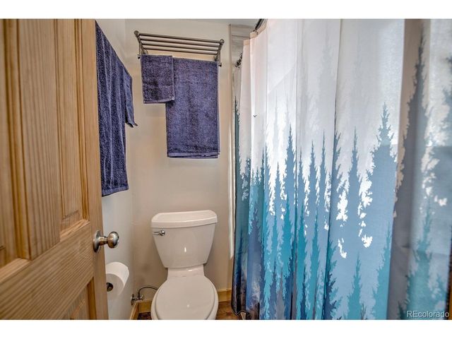 1133 Straight Creek Dr J-108, Dillon, CO 80435