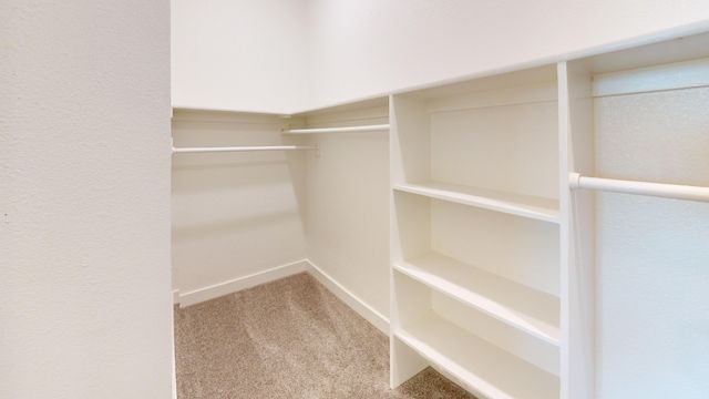 237 Mule Deer Mews, Frisco, TX 75068