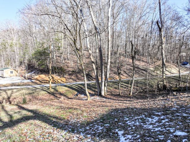 329 Hillcrest Street, Rogersville, TN 37857