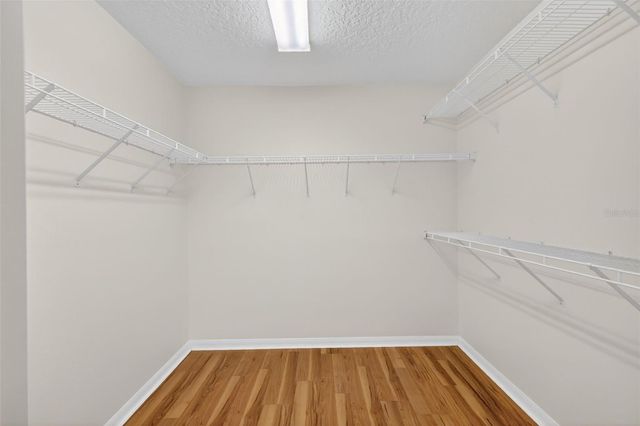 729 STRIHAL LOOP, Oakland, FL 34787