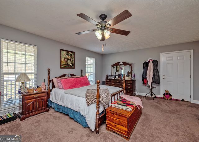 1363 McFarlin Bridge 25 Acres, Carnesville, GA 30521