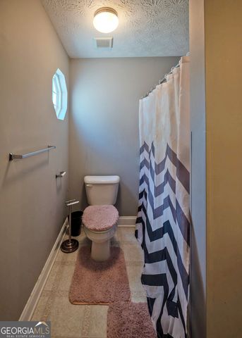 1363 McFarlin Bridge 25 Acres, Carnesville, GA 30521