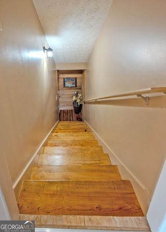 1363 McFarlin Bridge 25 Acres, Carnesville, GA 30521