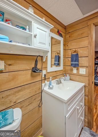 1363 McFarlin Bridge 25 Acres, Carnesville, GA 30521