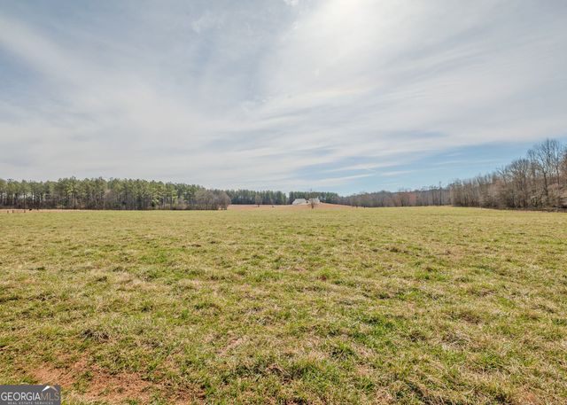 1363 McFarlin Bridge 25 Acres, Carnesville, GA 30521