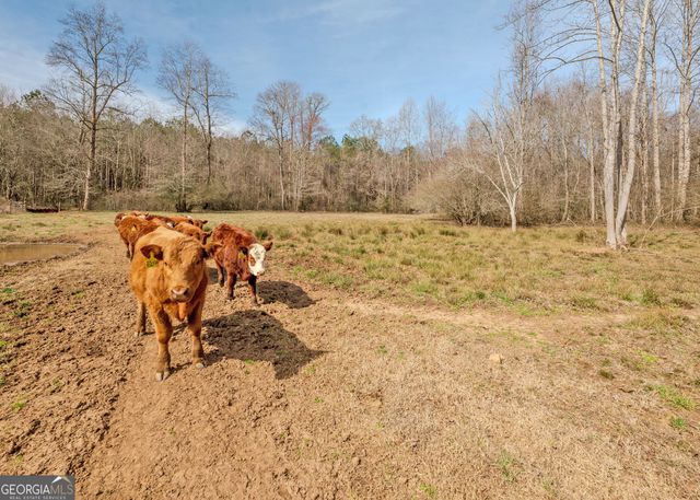 1363 McFarlin Bridge 25 Acres, Carnesville, GA 30521