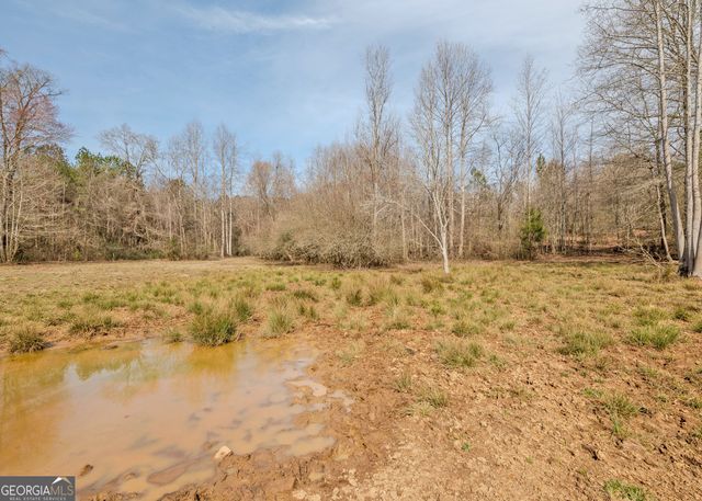 1363 McFarlin Bridge 25 Acres, Carnesville, GA 30521