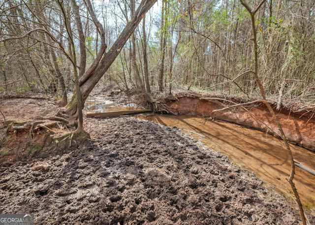 1363 McFarlin Bridge 25 Acres, Carnesville, GA 30521