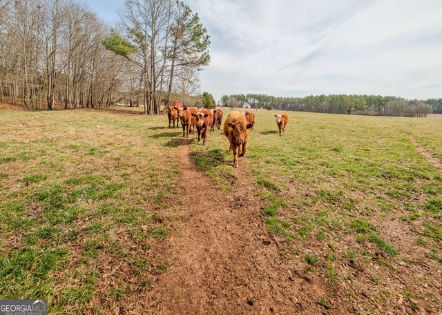 1363 McFarlin Bridge 25 Acres, Carnesville, GA 30521