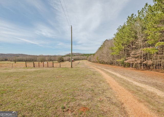 1363 McFarlin Bridge 25 Acres, Carnesville, GA 30521