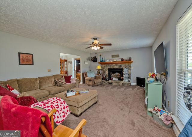 1363 McFarlin Bridge 25 Acres, Carnesville, GA 30521