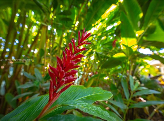 4867 SW 82nd St, Miami, FL 33143