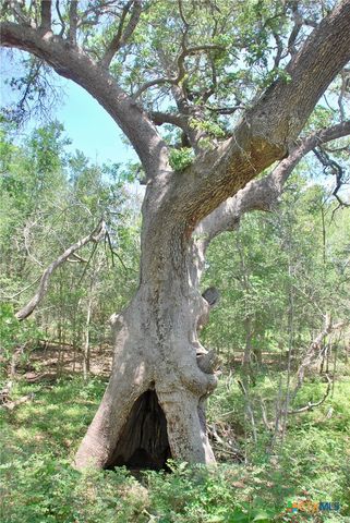 2116 Langdon Road, Weimar, TX 78962