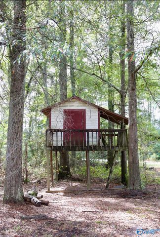 4343 Fairview Cove Road, Altoona, AL 35952