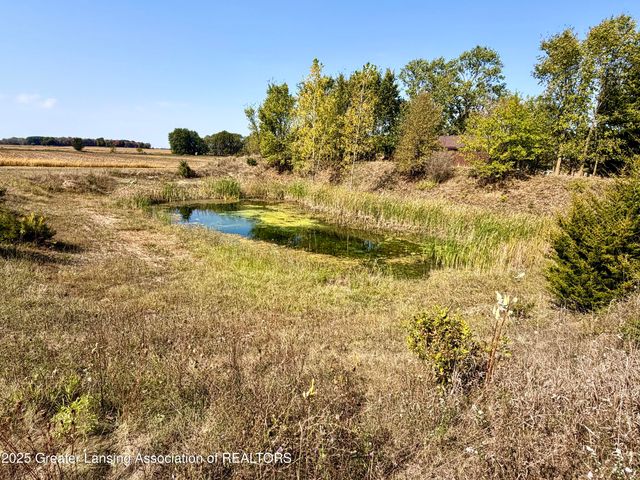 4063 N Williams Road, St. Johns, MI 48879