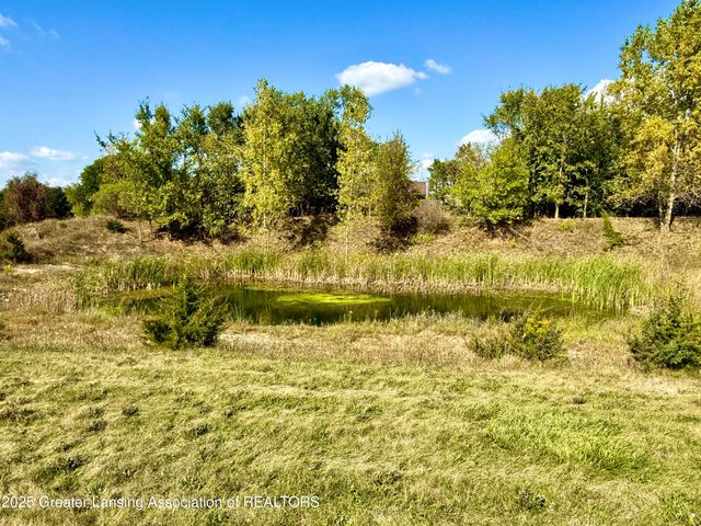 4063 N Williams Road, St. Johns, MI 48879