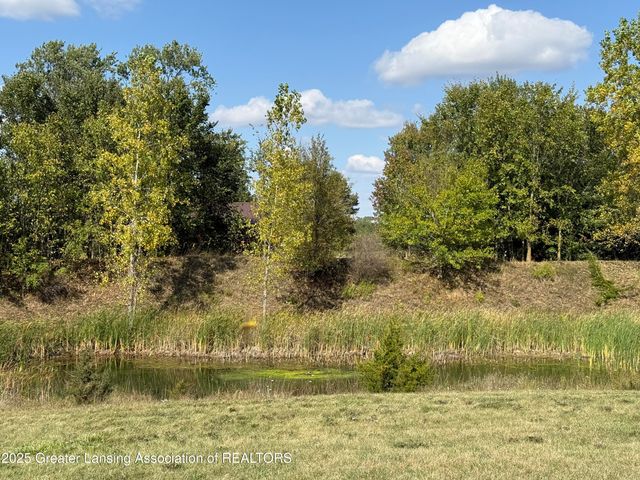 4063 N Williams Road, St. Johns, MI 48879