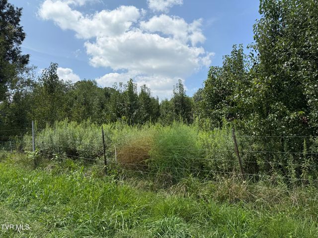 3534 Hwy 11w, Surgoinsville, TN 37873