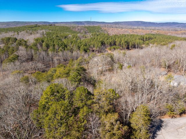 14440 Stormer Road, Sale Creek, TN 37373