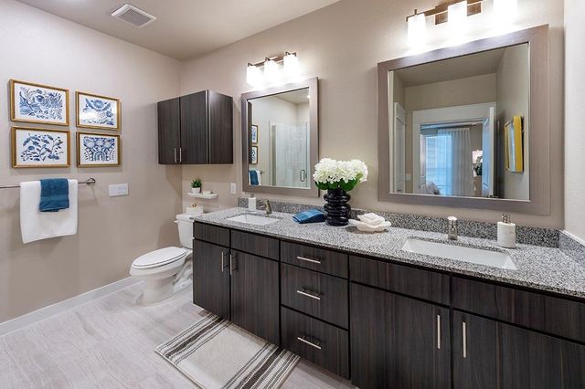 30020 Creekside Terrace Drive 8201, Spring, TX 77386