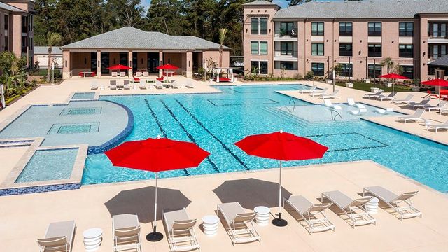 30020 Creekside Terrace Drive 8201, Spring, TX 77386