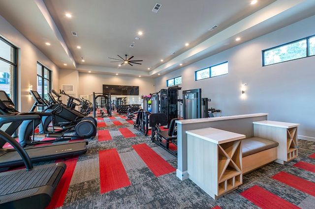 30020 Creekside Terrace Drive 8201, Spring, TX 77386