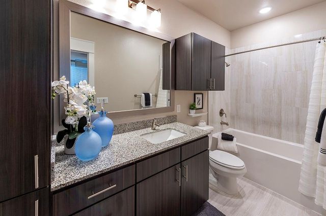 30020 Creekside Terrace Drive 8201, Spring, TX 77386